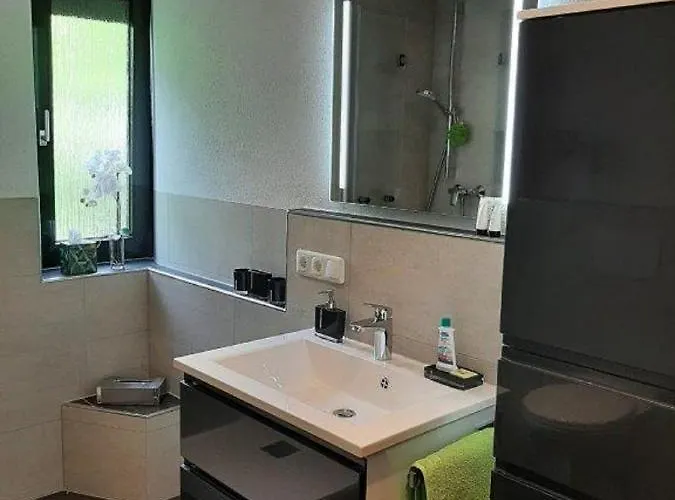 Schaeffer Ratisbonne